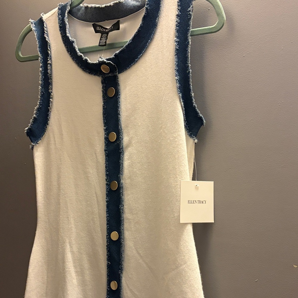 Ellen Tracy Cream and Blue Buttoned Dress